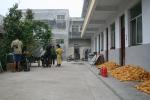 Oct 3 2007 Gaofengtou village, Shangdong prov. Courtyard.