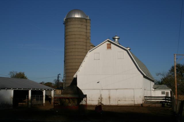 USA, Illinois - American farm