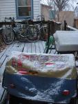 IMG_3176.jpg