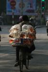 Vietnam, Hanoi - hauling fish in bags 