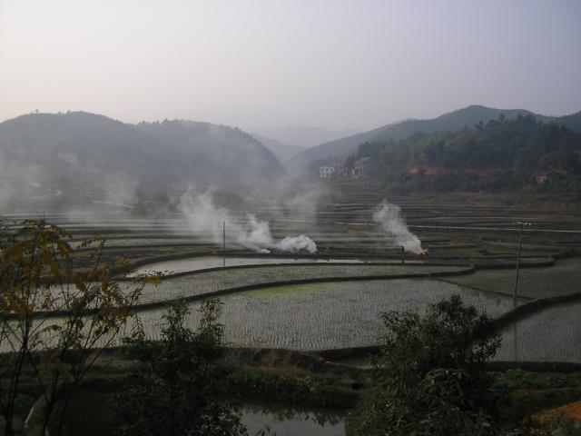 China, Rice patties