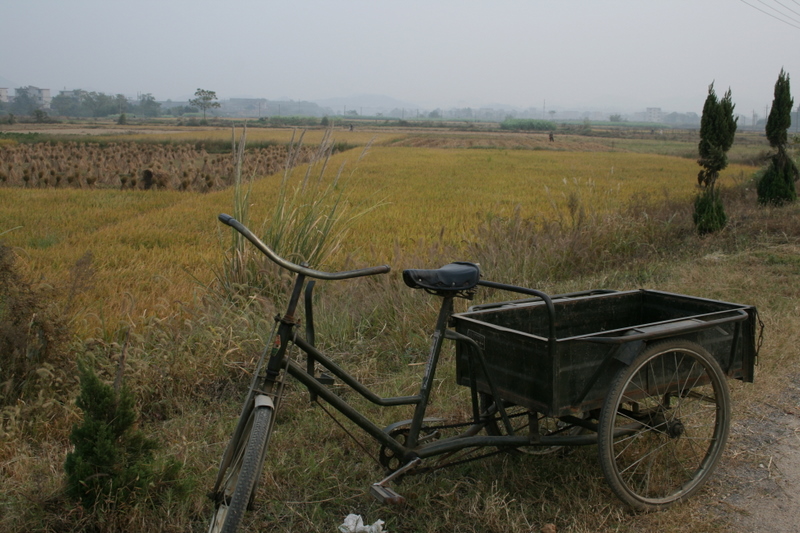 Oct 28 - Field and tricycle