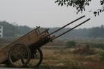 Oct 30 - Chinese cart during the rice harvest