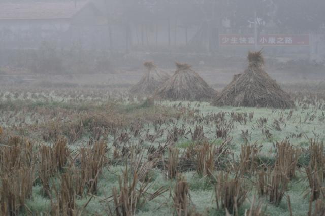 Hunan, Zhuhai city rice field that we camped in.