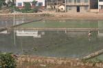 South enough to where they're planting the fields again with a reed used for weaving.  Southern Hunan.