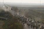 Guangdong Prov. Goose crossing!