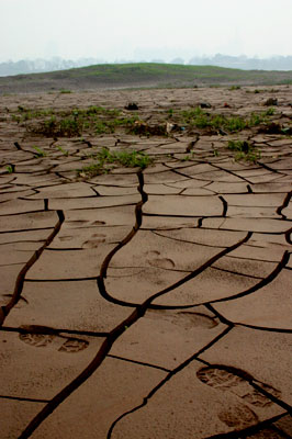 cracks-in-mud00051.jpg