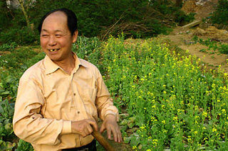 local-zhuzhou-farmer-in-fie