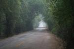 China - The Gaodao "National Highway" to the Vietnam border at Pingxiang...more like a county road and very pleasant.