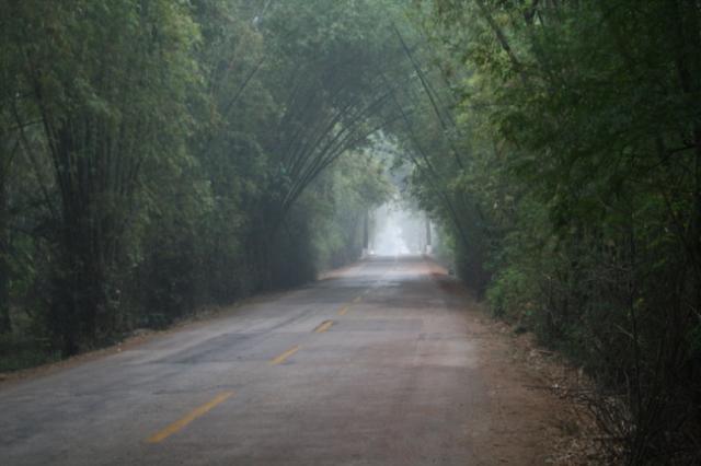 China - The Gaodao "National Highway" to the Vietnam border at Pingxiang...more like a county road and very pleasant.