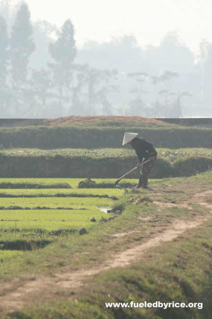 Vietnam - Farmer