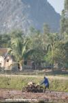 Vietnam - Plowing a rice patty with a tractor. Many still use water buffalo.