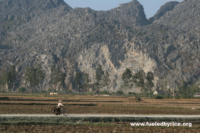 Vietnam - Fellow biker