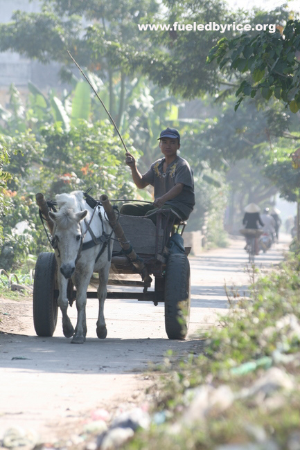 Vietnam, Ning Bihn Town - 