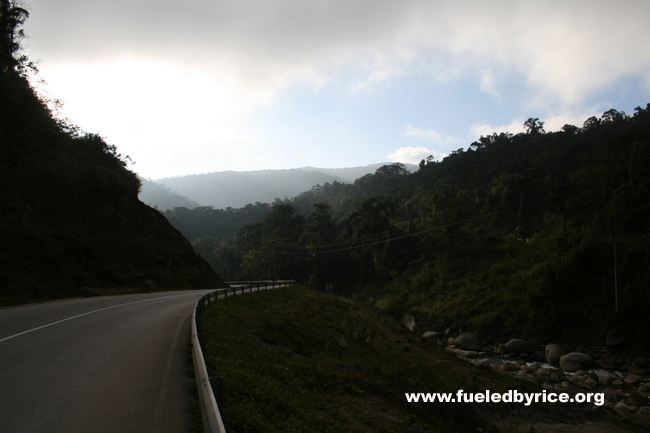 Lao - Just accross the border, a nice downhill into sun and lush old-growth forest.