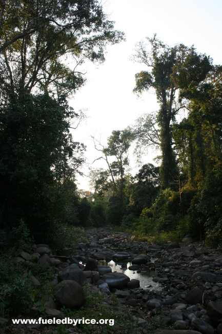 Lao - Our camp site on Hwy 8