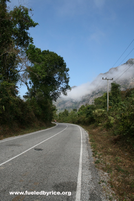 Lao - Hwy 8 from Vietnam, beautiful old-growth forest