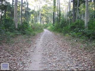 MVI_0525.jpg
