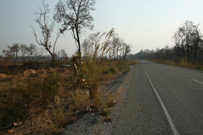 Cambodia - Hwy 13 Brand New asphalt as of July 2007, built by the Chinese. Many people told us that this road would be dirt and 