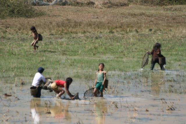 Lao - children working in a field