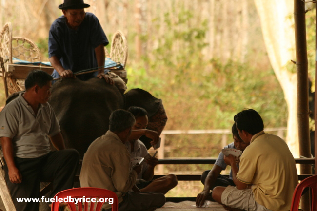 Lao - Xe Pian national park, a card game with the tour guides