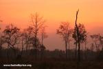 Cambodia - A beautiful sunset behind family Sre's house.