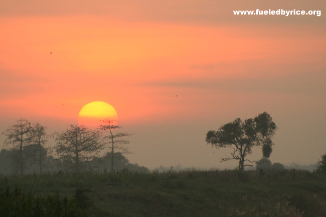 Cambodia - Sunrise on the Mekong River