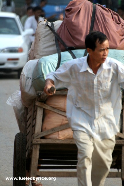 Cambodia - Hauling in a small market town 40km north of Phnom Pehn.