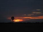 IMG_0887.jpg