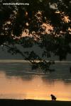 Cambodia - Angkor Wat moat with child at sunrise