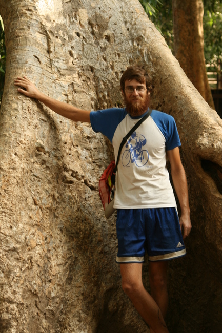 Cambodia - Angkor Wat, Ta Prohm - Huge jungle trees have taken over Ta Prohm temple.  Absolutely beautiful and amazing.