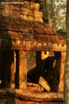 Cambodia - Angkor Wat, Ta Prohm at sunset 