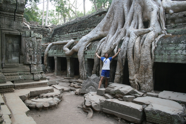 Cambodia - Angkor Wat, Ta Prohm - Huge Tree