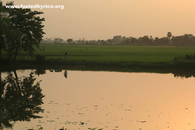 India, West Bengal - 