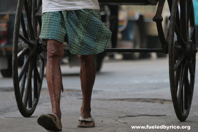 India, West Bengal, Kolcatta - The last of the real working ricksaws in the world.  These ricksaws are not for tourists, but for