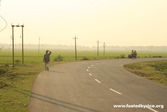 India, West Bengal - Drew and Jim rounding a curve on a beautiful county road in the middle of rice fields. (Peter)