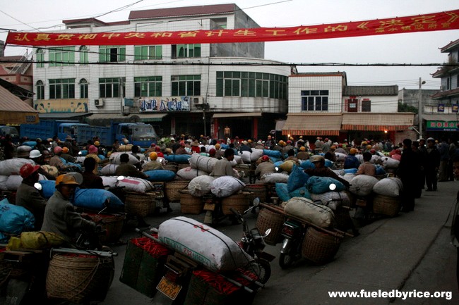 China - Guangdong Prov., Da Po town - Farmers bringing their hot peppers to market.  This is daily routine during the winter mon