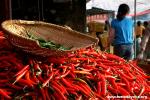 China - Guangdong Prov., Da Po town - Peppers at market