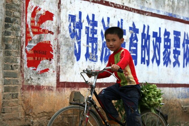 China, Guangxi Prov - a young boy bicycles home with vegetables from the market