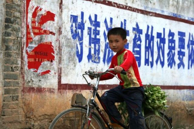 China, Guangxi Prov - a young boy bicycles home with vegetables from the market