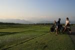 India, W. Bengal, near Naxiburi by the Himalayan foothills - the amazing approach from the flatlands of the sub-continent to the