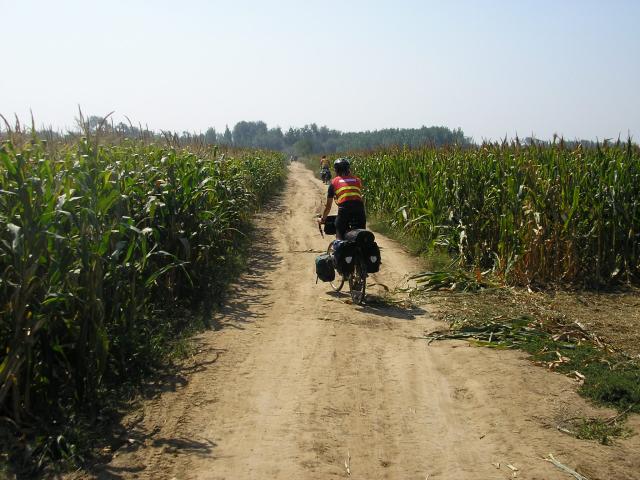 We see all kinds of roads