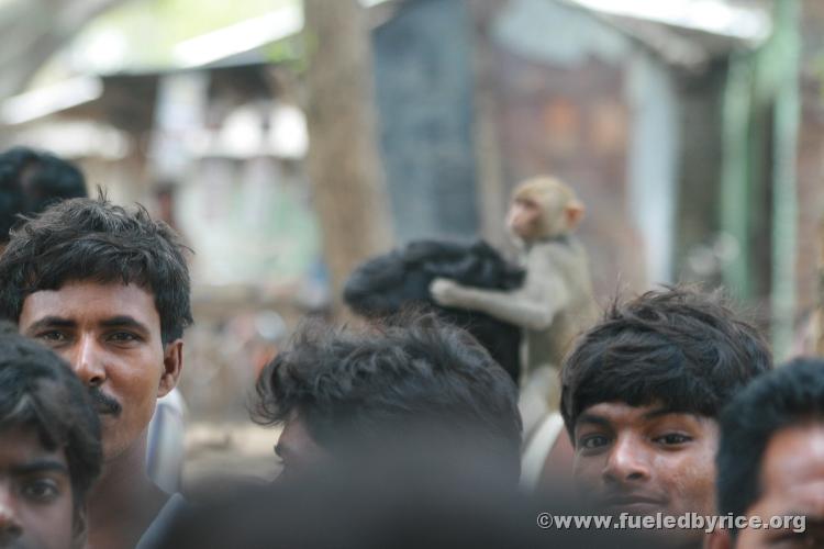 India, West Bengal - A monkey in the crowd gathered around us!