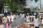 India, West Bengal - A small market town clogs the narrow county road