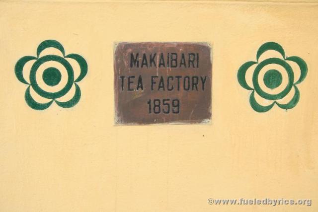 India, Darjeeling - Makaibari Tea Estate factory 