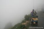 India, Darjeeling - Going back down to the flatlands, we stopped at a tea estate which happened to be in the clouds at the time.