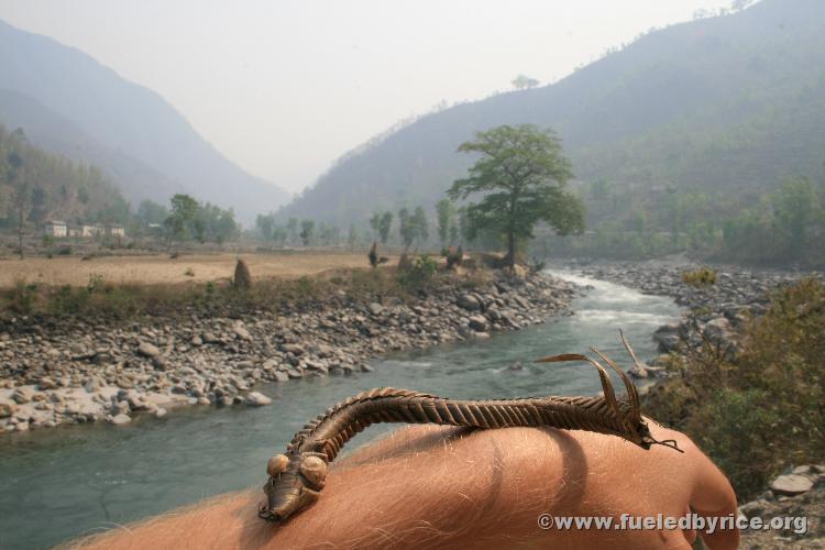 Nepal, Himalayan foothills, Sindhuli area backroad to Kathmandu - Niu niu enjoys the fresh air and water