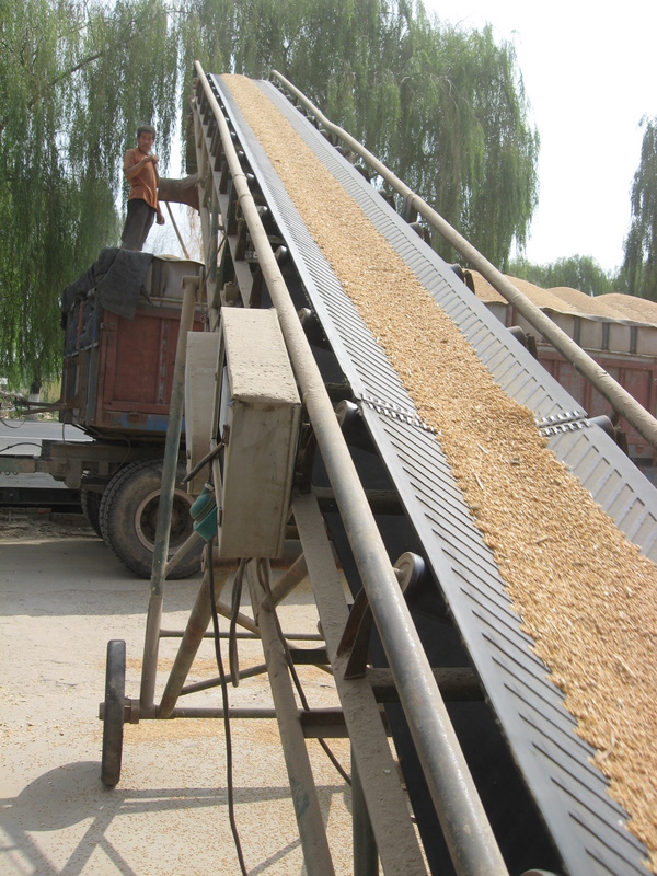 Wheat shuffling up the elevator. -Jim