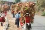 Nepal, Himalayan foothills, Jiri road - Some kids go to school, some work.