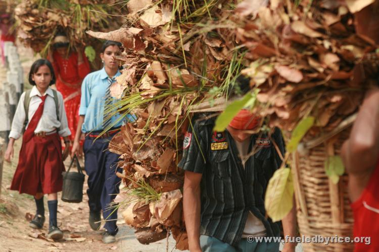 Nepal, Himalayan foothills, Jiri road - Some youth go to school, some work.